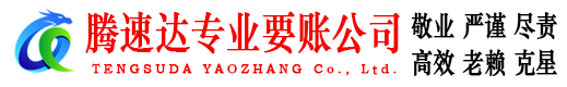 汉南腾速达要账公司